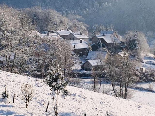 Villa Cora Venez Neuve Avec Spa Saint-Bresson Exterior photo