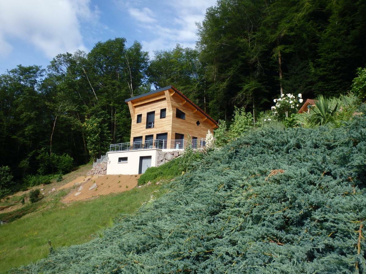 Villa Cora Venez Neuve Avec Spa Saint-Bresson Exterior photo
